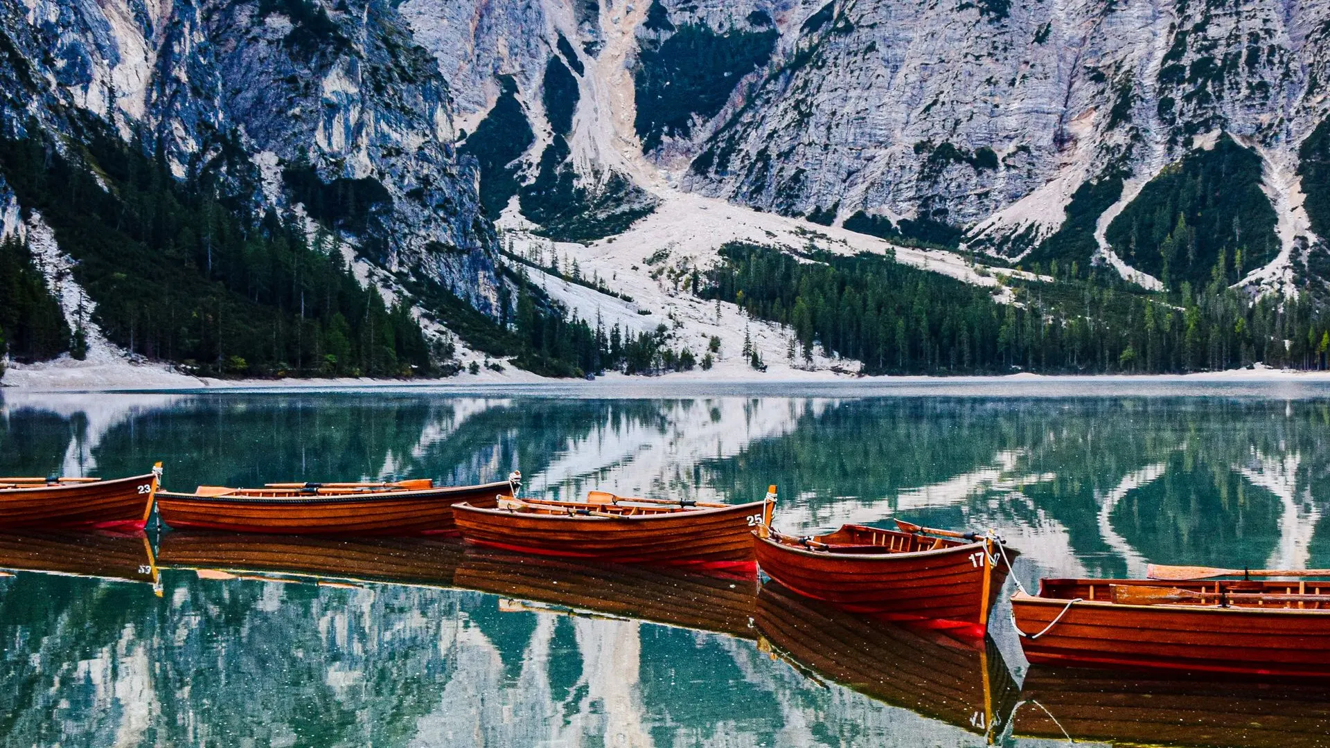 Plan Your Next journey with ease